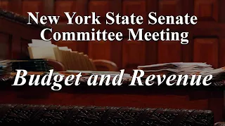 Senate Standing Committee on Budget and Revenue - 03/26/2024