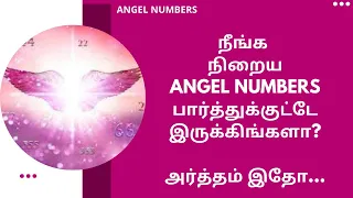 Why Do You See Different Angel Numbers Everyday Repeatedly ? | What To Do When You See Them?