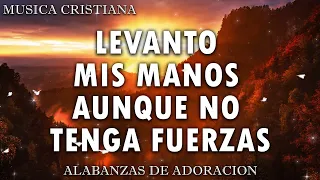 CANCIONES CRISTIANAS QUE LEVANTA EL ÁNIMO 2024 🙏 HERMOSAS ALABANZAS CRISTIANAS DE ADORACION