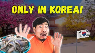 10 Shocking Things Can’t Be Seen Anywhere But In Korea 🇰🇷