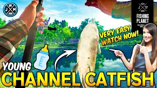 Fishing Planet 2023 - (UPDATED) How to catch Young Channel Catfish on Lonestar Lake