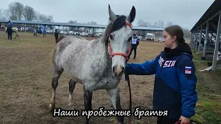 Первенство Кабарды. Март 2024.  Команда #Георгиевская_сотня выставила 2 пробежные пары на 40км