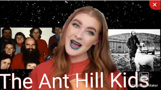 True Crime / Ant Hill Kids