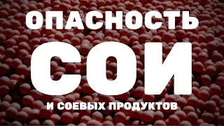 можно ли есть сою и продукты из нее?