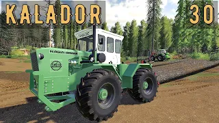 FS 19 - Новый трактор.  Пилю лес.  Погрузка и продажа леса - KALADOR фермер лесоруб # 30