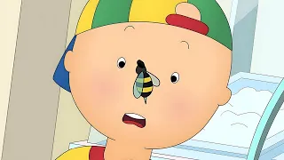 Caillou and the Bee | Caillou Compilations