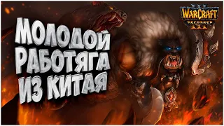 Молодой работяга из Китая: Kaho (Ne) vs Romantic (Hum) Warcraft 3 Reforged