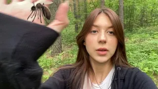 asmr триггеры в лесу 🌲 с комарами