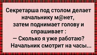 Как Секретарша Под Столом Работала! Сборник Свежих Анекдотов! Юмор!