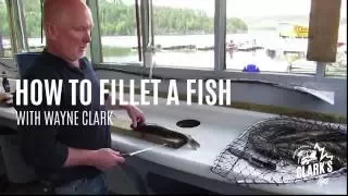 How To Fillet a Fish | Clark's Resorts & Outposts