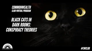 Black Cats In Dark Rooms: Conspiracy Theories