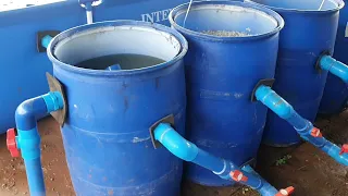 Recirculating Aquaculture System (RAS) Philippines