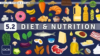 OCR GCSE PE - DIET & NUTRITION (Optimising Sports Performance) - Health, Fitness & Well-Being (5.2)