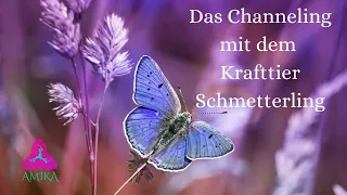 Krafttier Channeling Schmetterling