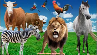 Family Animal Sounds:  Horse, Dog, Lion, Pig, Cow, Zebra, Chicken - Animal Videos