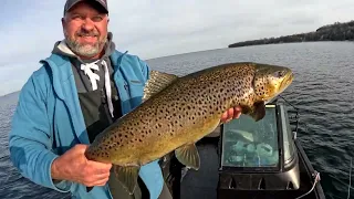 Big Browns in Door  County