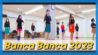 Banca Banca 2023 Line Dance [제이엠피라인댄스] / DEMO / 토요동호회 (짝궁반)