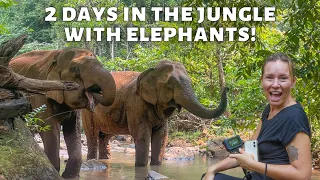 We Volunteered In A REAL Elephant Sanctuary (Elephant Valley Project Cambodia)