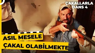 N'aber Birader İyi Geldi Bir Daha Ver | Çakallarla Dans 4