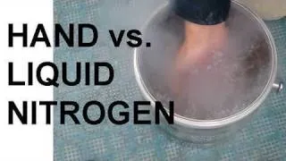 Hand vs. Liquid Nitrogen and the Leidenfrost Effect