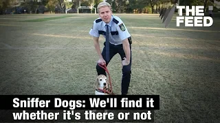 Sniffer Dogs: We'll find it whether it's there or not