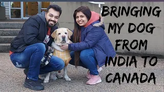 Bringing my pet from India to Canada | Air Canada Cargo | Entire Journey