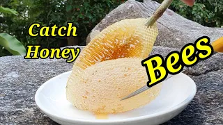 Catch honey