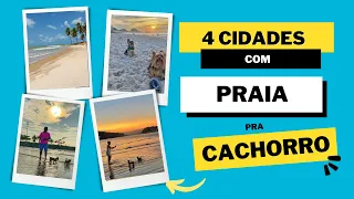 Quais são as 4 praias pra Cachorro no Brasil?