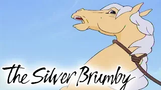 The Silver Brumby - Episode 6 | Thowra Is Captured | HD | Full Episode | Videos For Kids