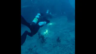SCUBA Wreck Diving
