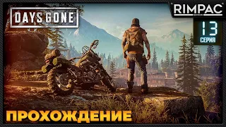 Days Gone _ Прохождение _ часть 13