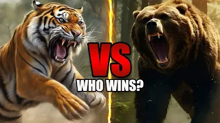 Grizzly Bear VS Siberian Tiger - Who Will Win? | Animal Faceoff