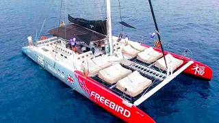 Tenerife Costa Adeje - FREEBIRD Catamaran Whale & Dolphin watching - Puerto Colon