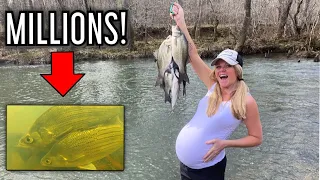 We Found MILLIONS of Fish in This HIDDEN CREEK! {Catch Clean Cook} plus *AMAZING UNDERWATER FOOTAGE*