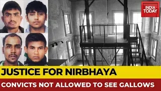 Nirbhaya Case Hanging: All 4 Convicts Not Allowed To See Gallows