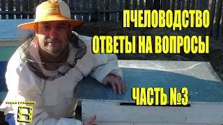 ПЧЕЛОВОДСТВО. №3 ОТВЕТЫ НА ВОПРОСЫ. ПРЯМЫЕ ТРАНСЛЯЦИИ