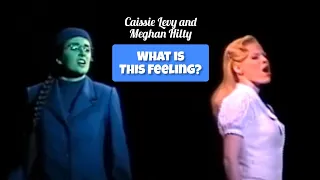 Caissie Levy and Meghan Hilty Performing "What is This Feeling?" (Wicked LA 2007)