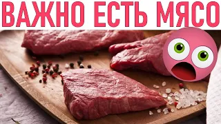 ПОЛЬЗА МЯСА | Почему важно есть мясо каждый день