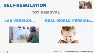 Understanding early self-regulation: when does self-reg become dys-regulation?  www.profsamwass.com