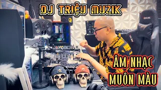 [LIVESTREAM] - ÂM NHẠC MUÔN MÀU - DJ TRIỆU MUZIK (DEMO)