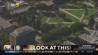 Look At This: Cal State Long Beach