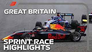 F3 Sprint Race Highlights | 2023 British Grand Prix