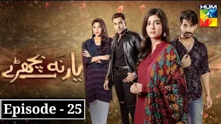 Yaar Na Bichary Episode 25 - Full Episode Story - 28 June 2021