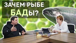 Зачем рыбе БАДы?