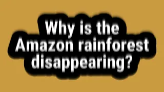 Why is the Amazon rainforest disappearing?