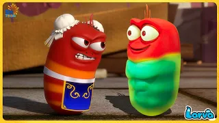 LARVA 2020 | The Best Funny Cartoon 2020 HD ► The Newest Compilation 2020 🔔 Larva Cartoon Comics