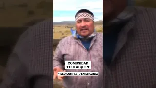 Comunidad Mapuche - Conflicto con Tierras