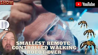 Smallest remote-controlled walking robot ever