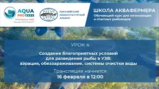 Создание благоприятных условий для разведения рыбы в УЗВ: аэрация, обеззараживание, системы очистки