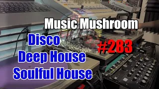 2024 Deep House Mix “Guarantee For My Heart" - BOZAK Vinyl MusicMushroom #283 New York New Jersey